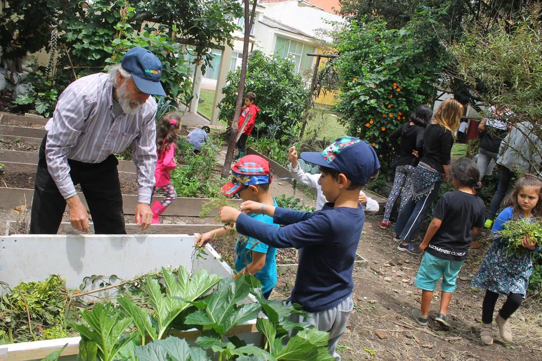 agricultura-compost